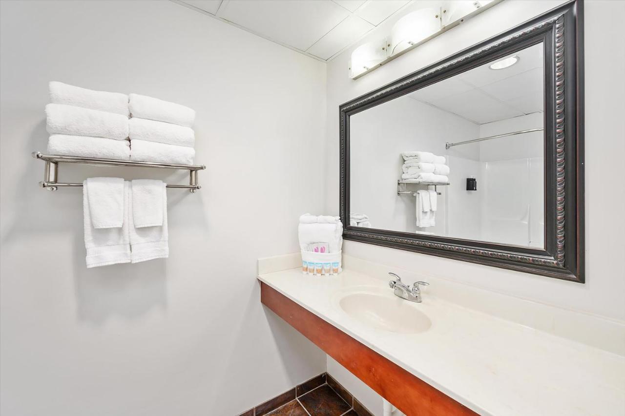 Deluxe One-Bedroom Suite Pet-Friendly