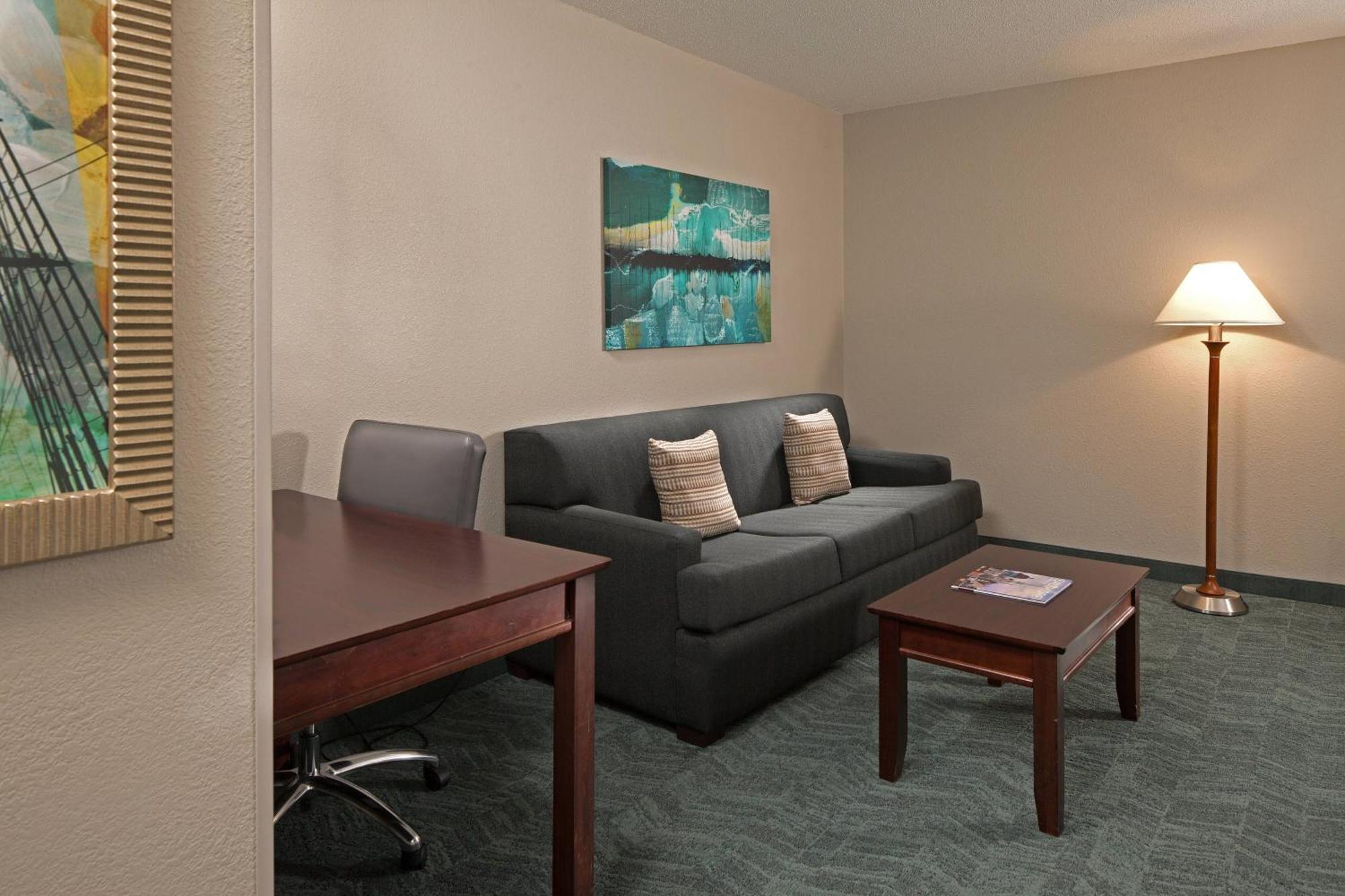 King Suite High Floor Trundle Sofa