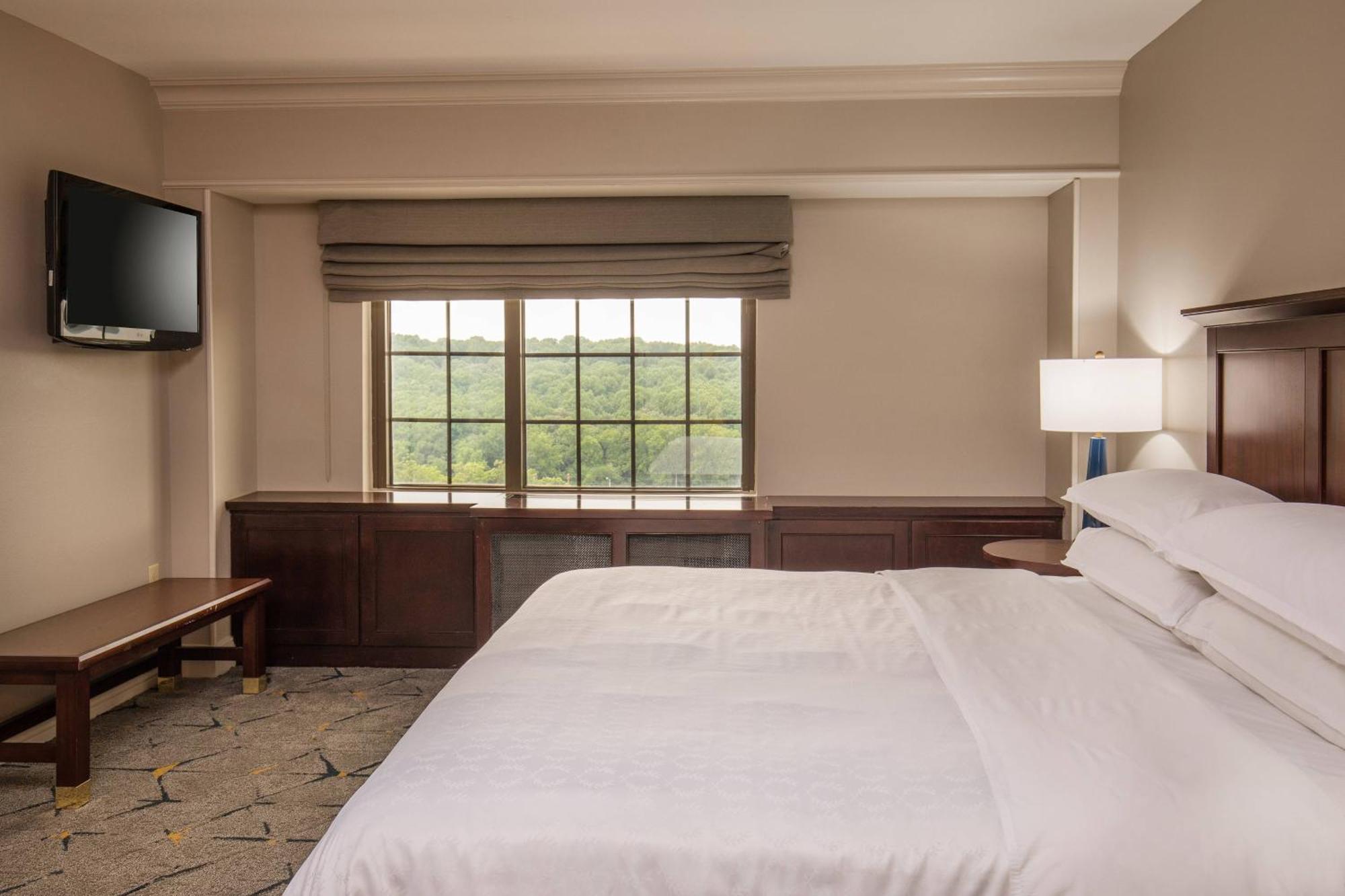 Club level Executive Suite 1 King Alternate bed sofa bed