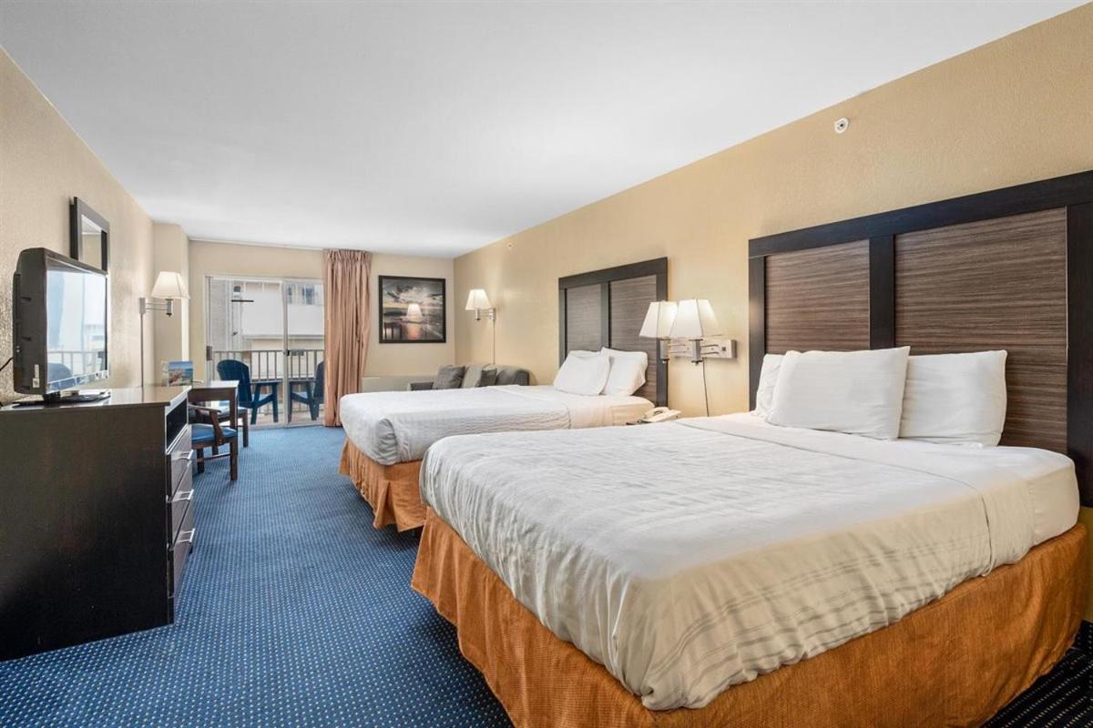 Standard View Room 2 Queens Sofa-Pet Friendly