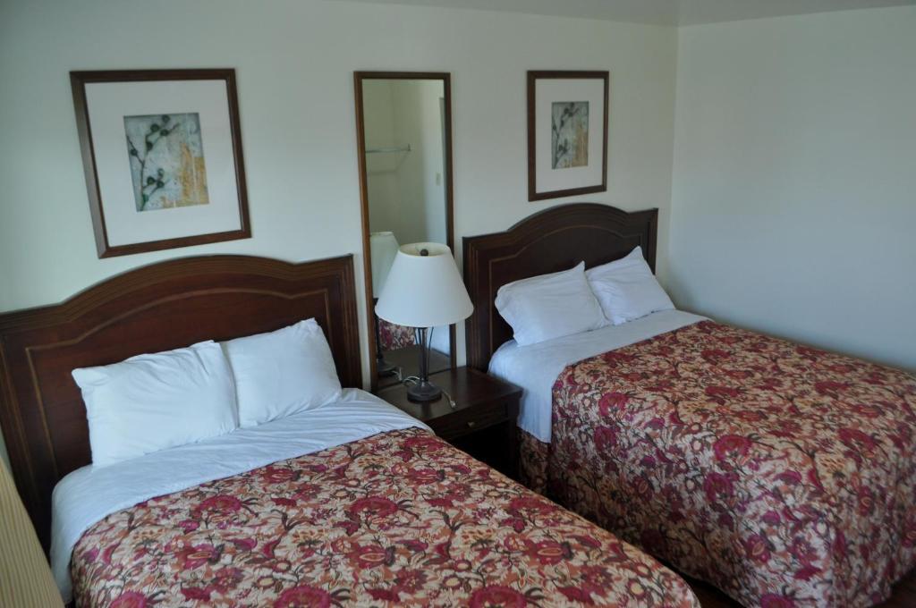 One-Bedroom Suite
