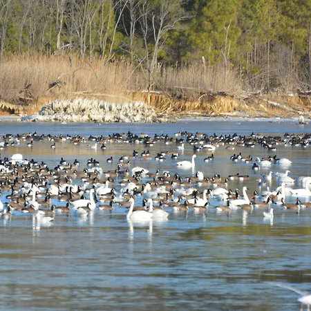 Black Walnut Point Inn-3